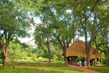 Nkwali Camp: Lage unter hohen Bäumen