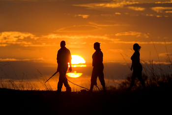 Okavango Explorers Camp Okavango Explorers Camp: Wanderer vor der Sonne