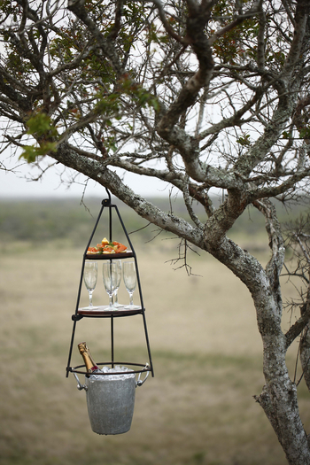 Phinda Mountain Lodge: Bar im Baum