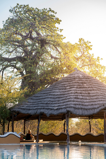 Planet Baobab: Pool