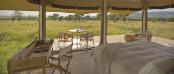 Roving Bushtops Camp: Standardzelt - Schreibtisch