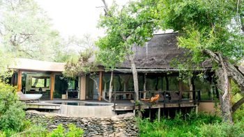 Singita Boulders Lodge: Freistehende Badewanne im Grünen Wald