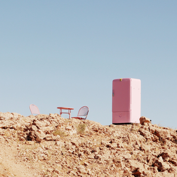 The Desert Grace: Pink Fridge