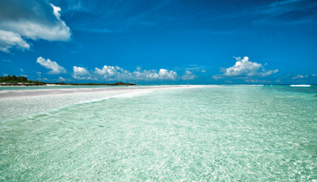 Astove Coral House: Landschaft