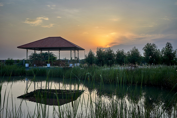 Blackbuck Safari Lodge: Gazebo am Teich