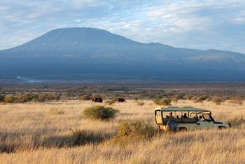 Elerai Camp: Safari Auto mit Blick auf Elefanten