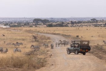 Giraffe Manor: Nairobi National Park