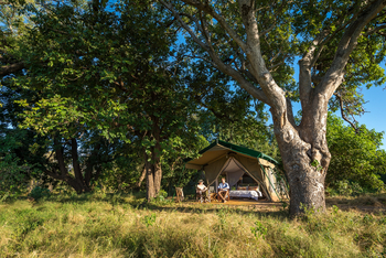 John's Camp John's Camp: Gästezelt - Außenansicht