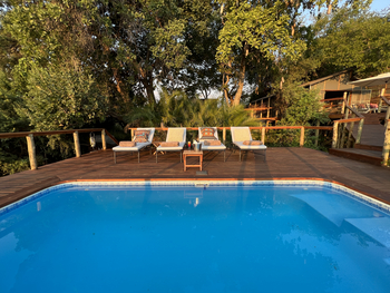 Kala Treehouse: Am Pool