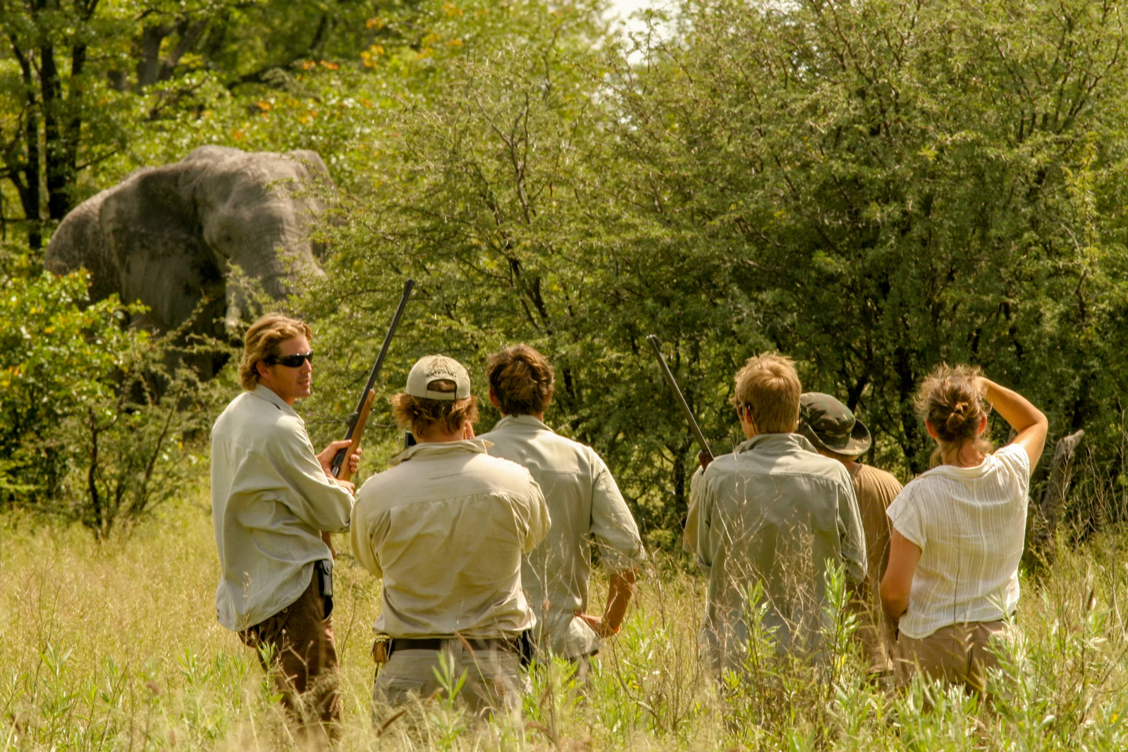 Kwapa Camp Kwapa Camp: Begegnung mit einem Elefanten