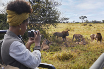 Legendary Mila Tented Camp: Game Drive