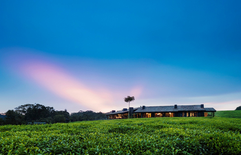 One and Only Nyungwe House: Pink Sunset