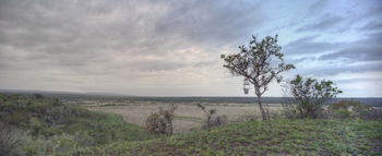 Phinda Mountain Lodge: Landschaft