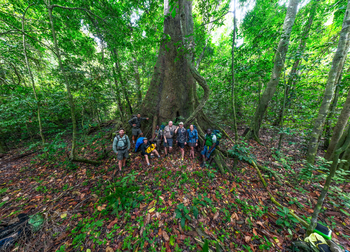 Sette Cama Eco Camp: Forest Walk
