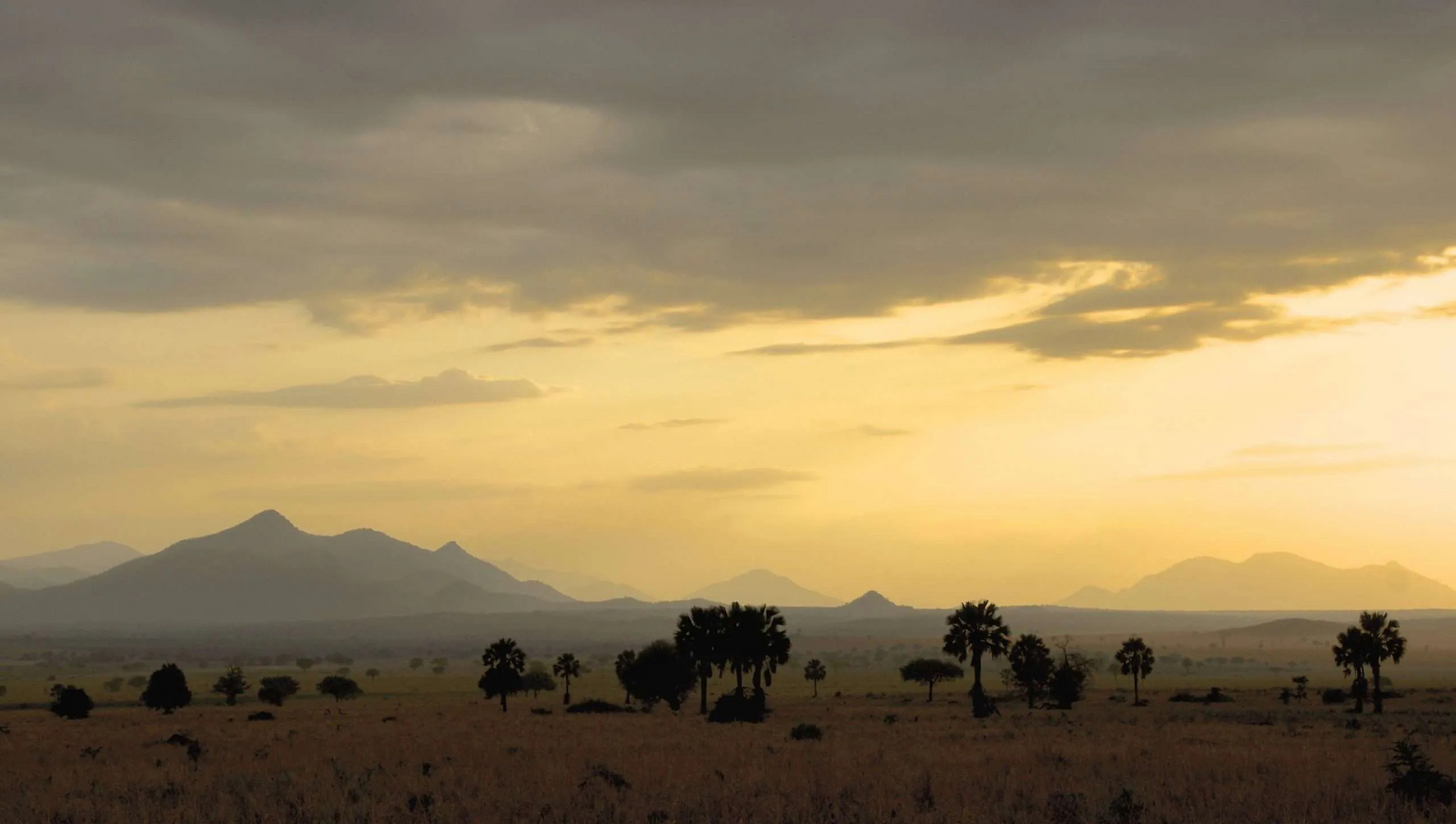 Apoka Safari Lodge Apoka Safari Lodge