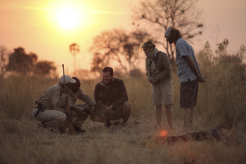 andBeyond Sandibe under Canvas: Guide mit Gästen