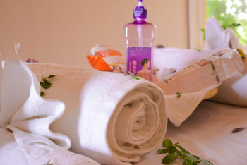 Adere Safari Lodge: Wellness