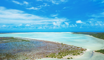 Astove Coral House: Landschaft