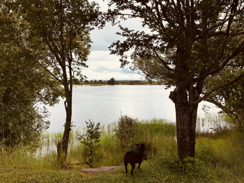 Chundukwa River Lodge: Chalet - Blick