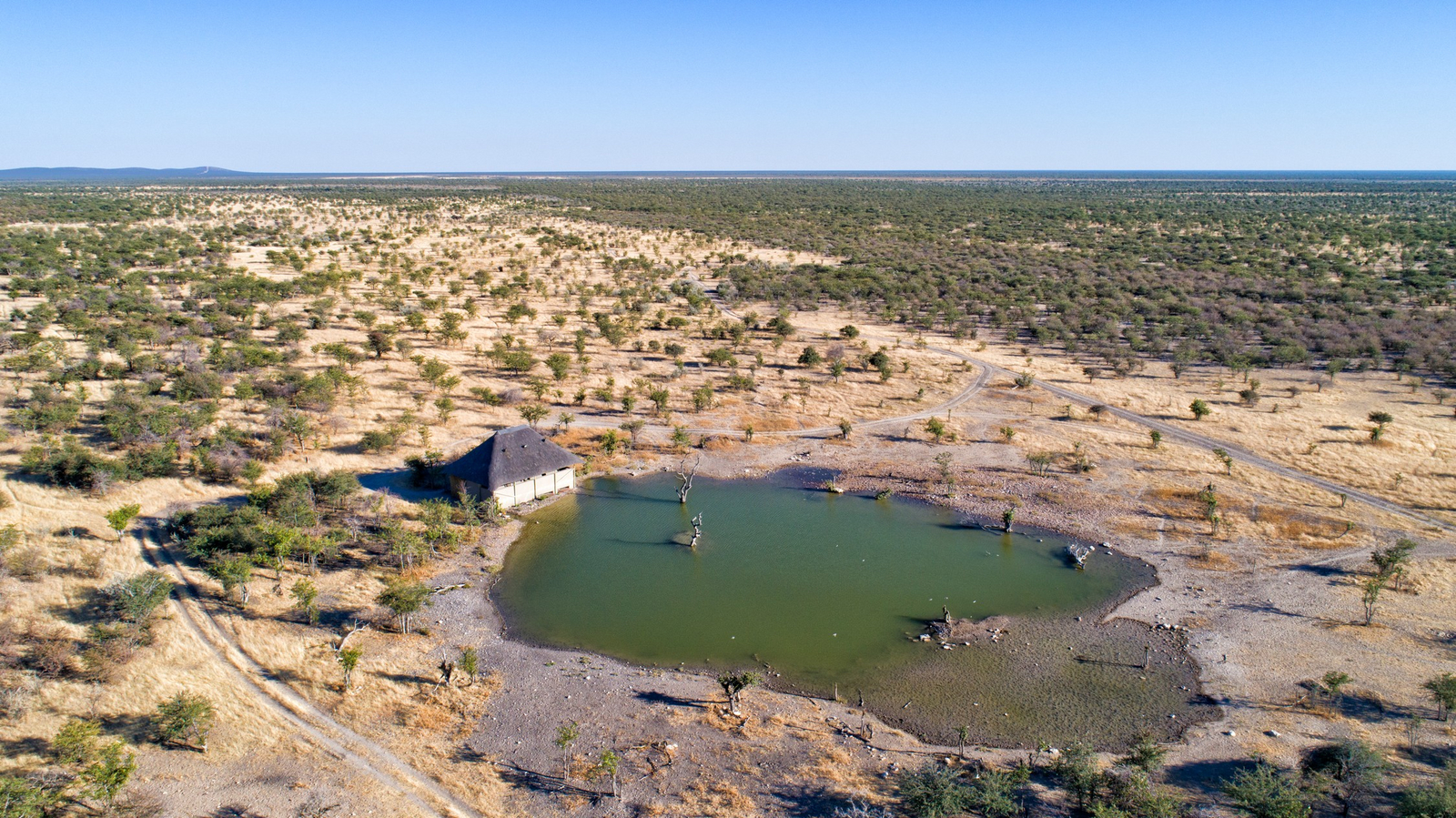 Etosha Heights Game Reserve Etosha Heights Game Reserve: Tiere und Landschaft