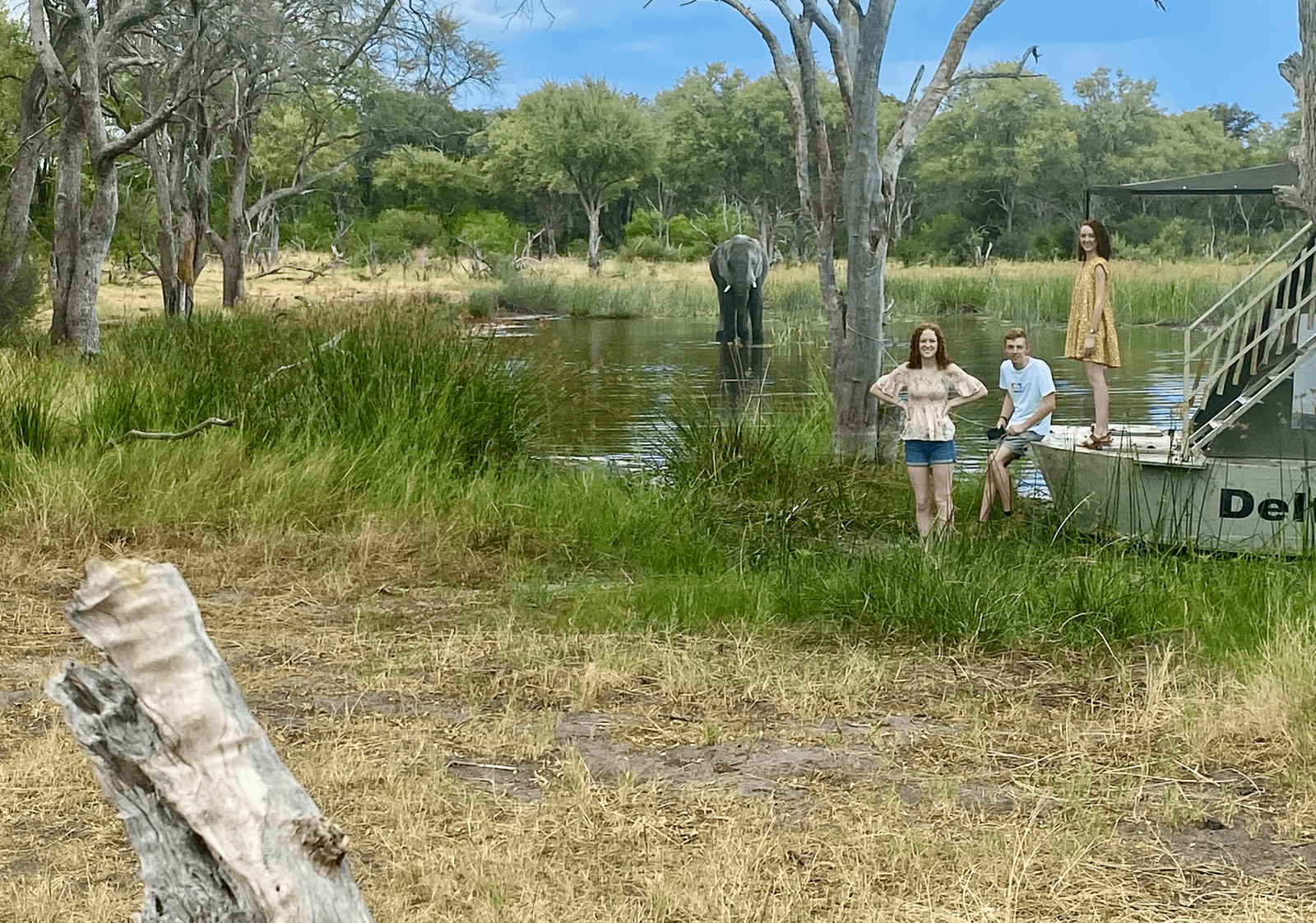 Gomoti River Lodge Gomoti River Lodge: Elefant in der Lagune vor dem Camp