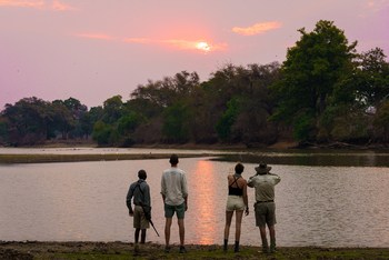 John's Camp John's Camp: An einem der berühmten Pools