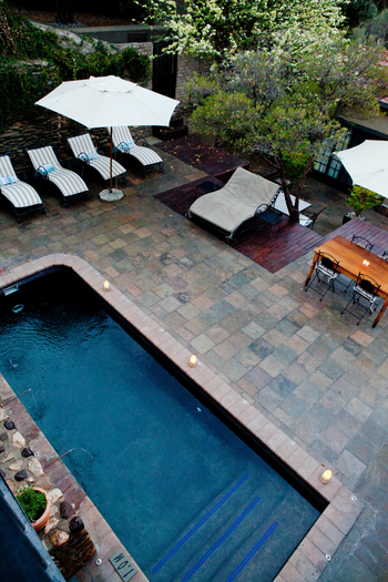 Olive Grove Guesthouse: Pool und Liegestühle