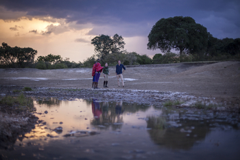Richard's River Camp: Walking Safari