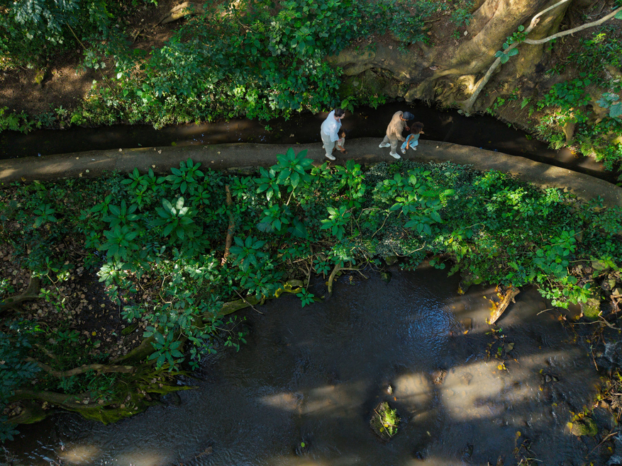 Rivertrees Country Inn