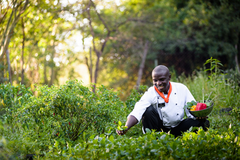 Sanctuary Olonana Sanctuary Olonana: Gemüse aus dem eigenen Gemüsegarten