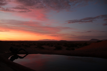 Spitzkoppen Lodge: Pool und Abendhimmel