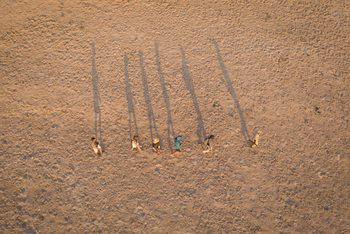 Time + Tide South Luangwa Time + Tide South Luangwa: Walking Safari