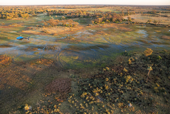 andBeyond Sandibe Okavango Safari Lodge: Landschaft