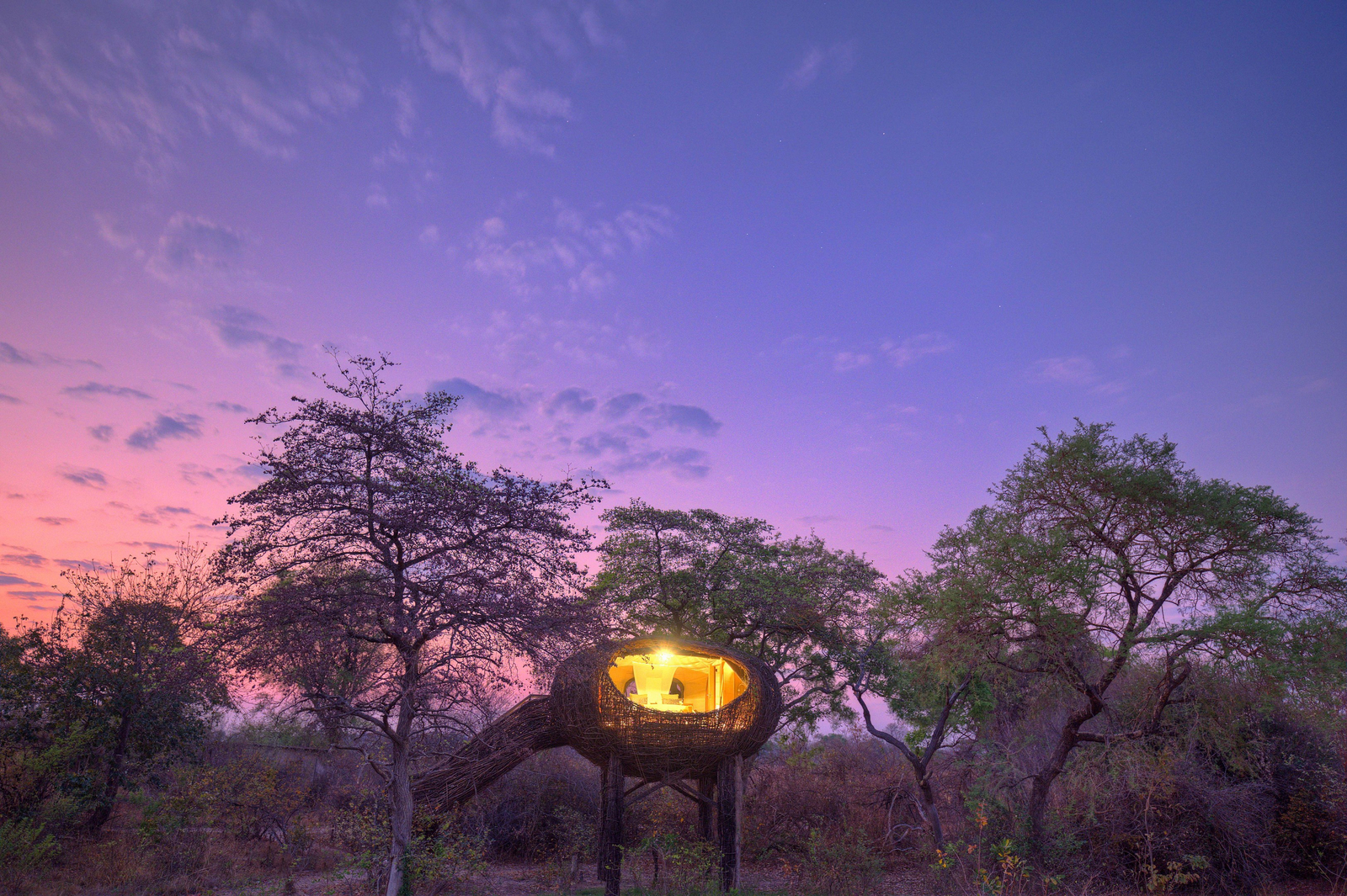 Chisa Busanga Camp Chisa Busanga Camp