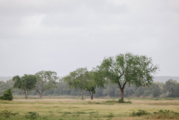 Chilo Ivory Trail Adventure: Runde-Uferzonen