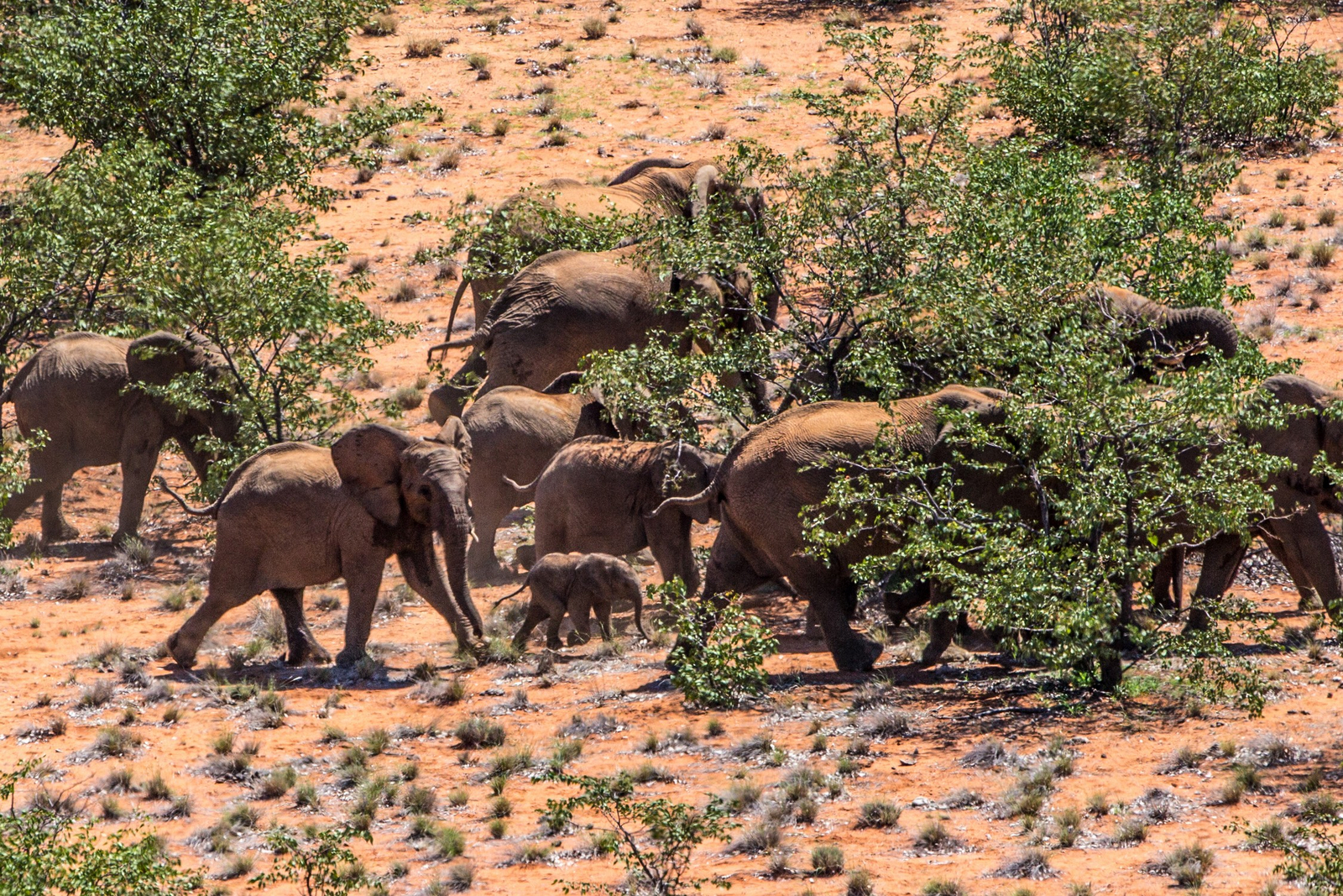 Grootberg Lodge Grootberg Lodge