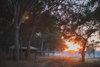 Kutali Camp Kutali Camp: Gästezelt - Morgensonne