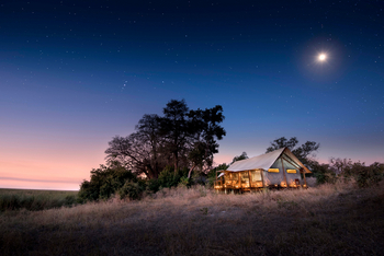 Linyanti Ebony Linyanti Ebony: Zelt unter Sternen