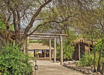 Little Chem Chem: Zugang