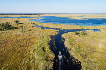 Moremi Game Reserve: Motorbootexkursion