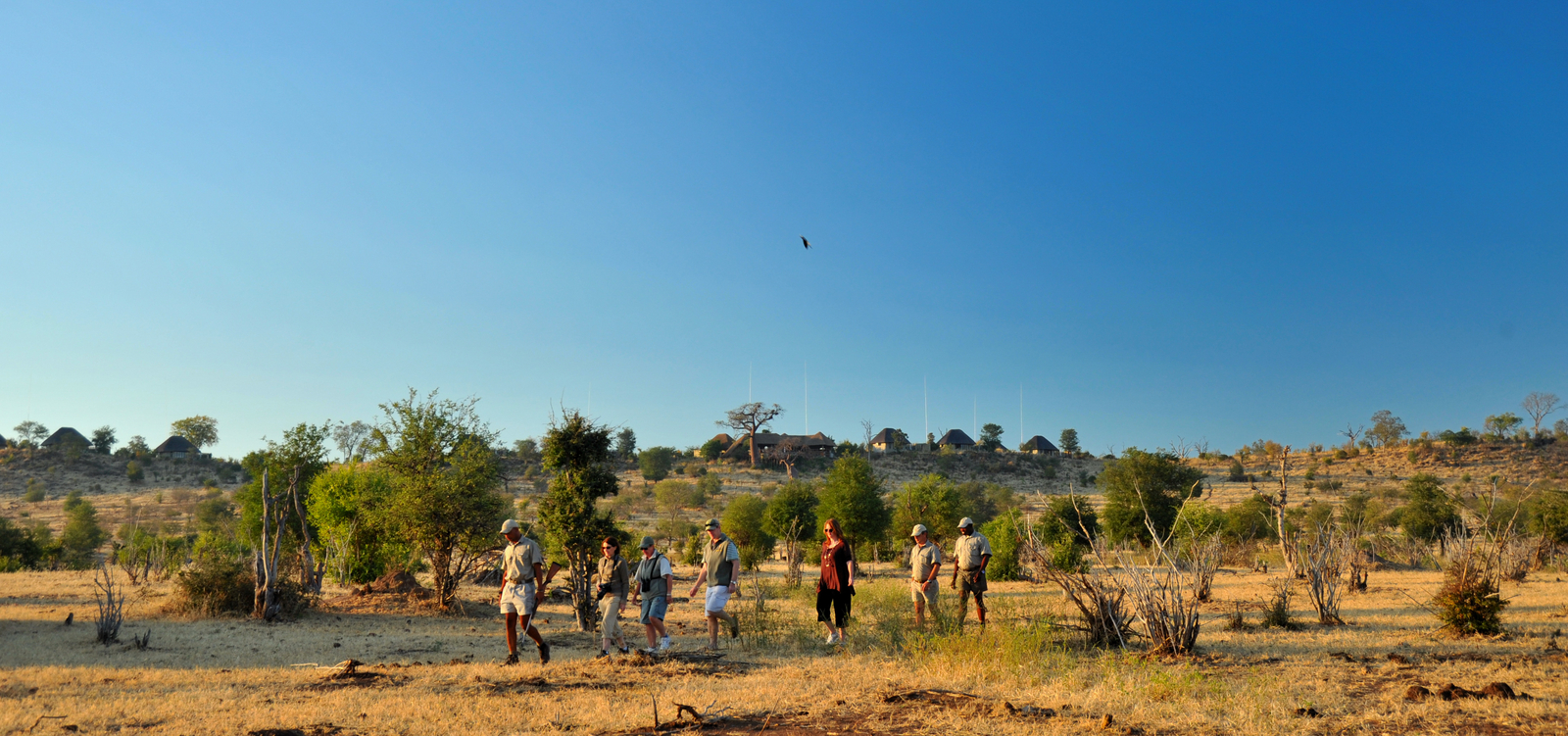 Ngoma Safari Lodge Ngoma Safari Lodge: Walking Safari