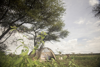 Wayo Walking Camp: Blick auf Campingzelt