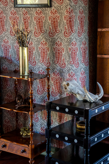 Duke's Camp: Warzenschweinschädel