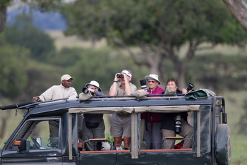 Kicheche Valley Camp Kicheche Valley Camp: Bird Watcher