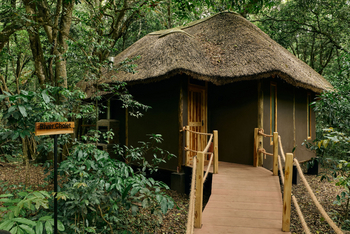 Koroi Forest Camp: Eingangsbereich River Chalet