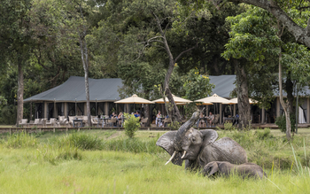 Little Governors' Camp Little Governors' Camp: Schlammbad vor dem Camp