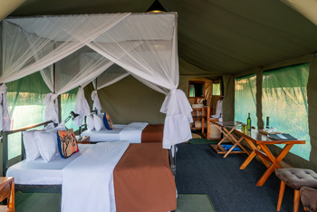 Little Moru Camp: Betten mit Moskitonetzen