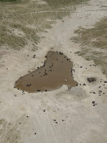 Moela Safari Lodge Moela Safari Lodge: Wasserloch aus der Luft