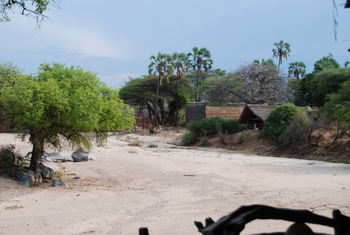 Mwagusi Safari Camp: Blick auf die Bandas
