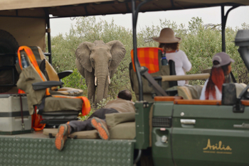 Naboisho Camp: Spezialfahrzeug für Fotografen